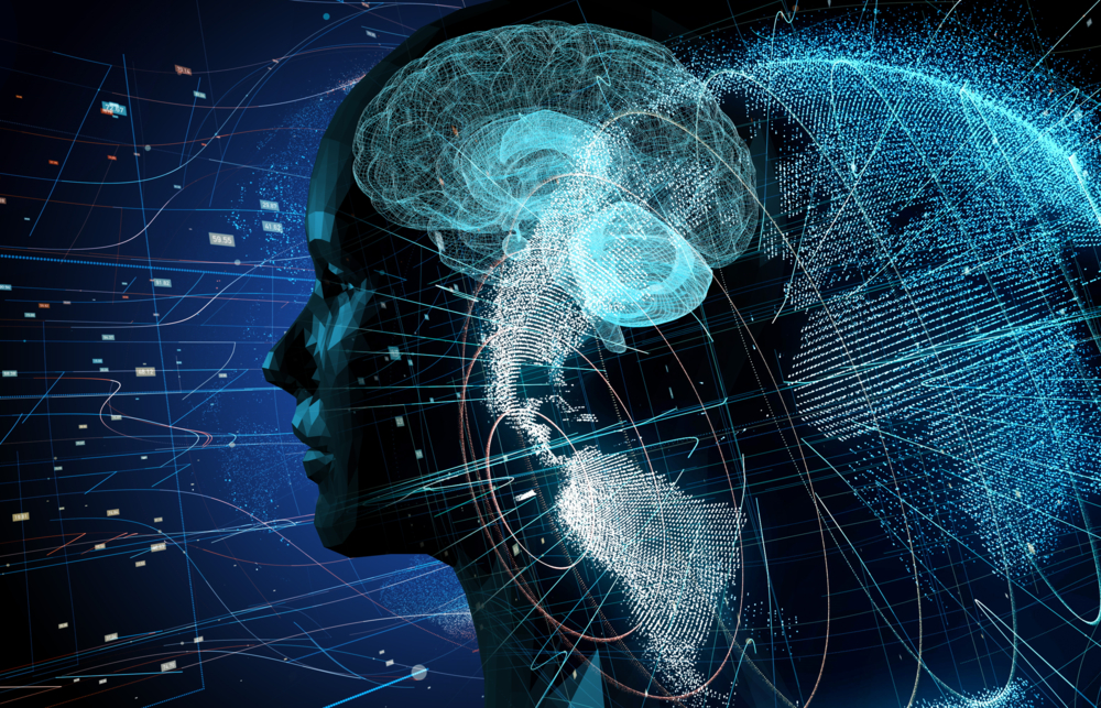 Digital Adoption Hub